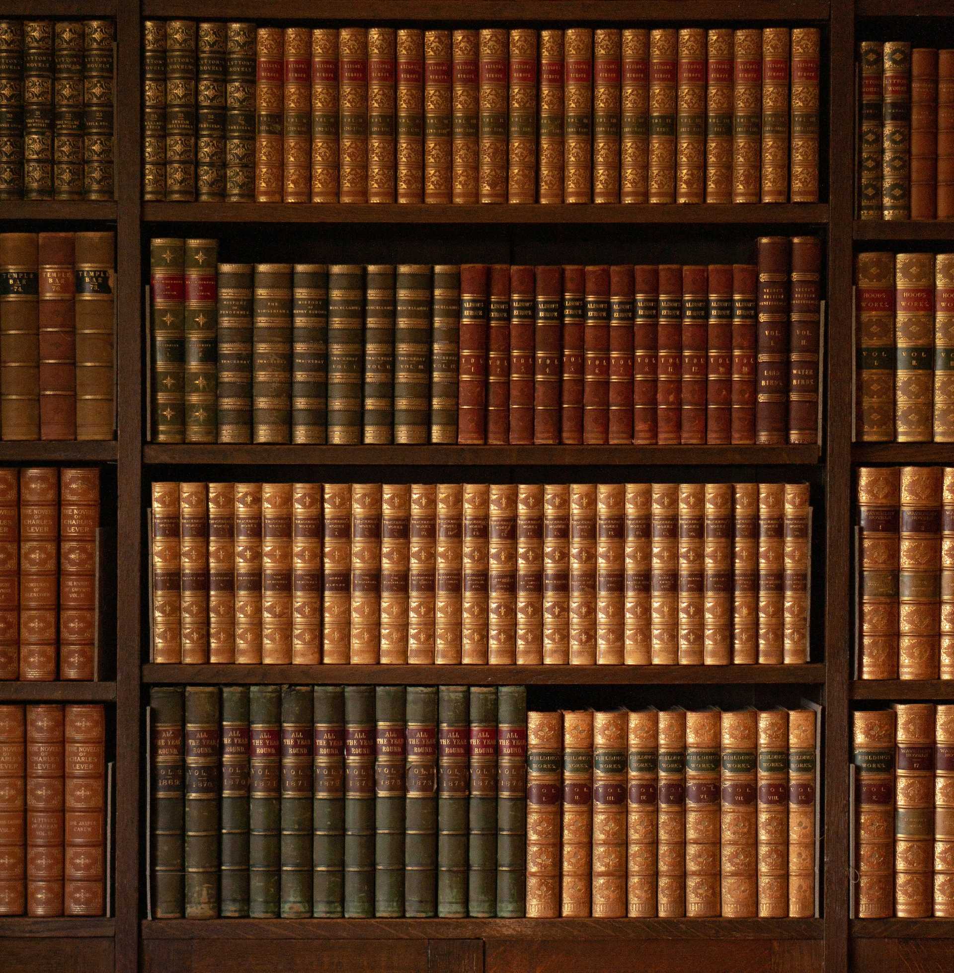 Równo poukładane książki na półkach w bibliotece. Photo by Eilis Garvey on Unsplash.
